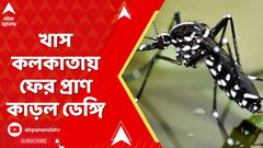 Dengue News: খাস কলকাতায় ফের প্রাণ কাড়ল ডেঙ্গি , মনিপাল হাসপাতালে মৃত্যু এক বৃদ্ধের