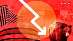 IT कंपनियों के निवेशकों को इस साल भारी चपत, टेक महिंद्रा से TCS तक 25% गिरा मार्केट कैप, जानें वजह
