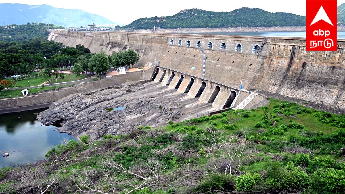 Mettur Dam: மேட்டூர் அணை நீர்மட்டம் சரிவு: டெல்டா பாசனத்திற்கு நீர் திறப்பு குறைப்பு! விவசாயிகள் கவலை