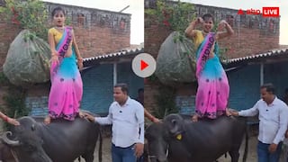कयामत नजदीक है! भैंस के ऊपर चढ़ गईं भाभी, करने लगी डांस; माथा पीटने लगे यूजर्स- वीडियो वायरल