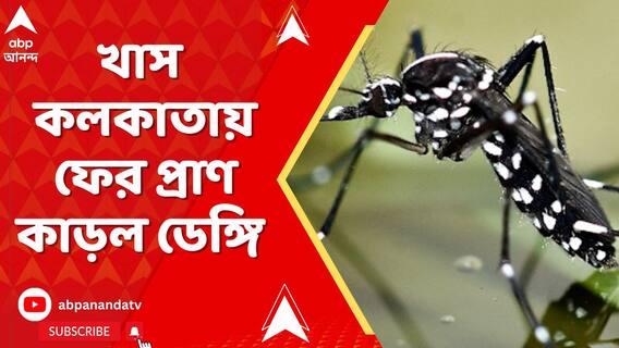 খাস কলকাতায় ফের প্রাণ কাড়ল ডেঙ্গি | মনিপাল হাসপাতালে মৃত্যু এক বৃদ্ধের