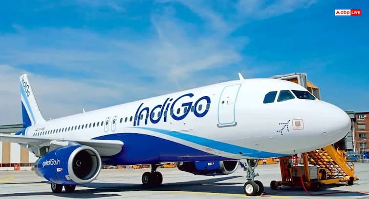 IndiGo Nagpur-Kolkata Flight Makes Emergency Landing After Suspected Bird Strike, Probe Underway