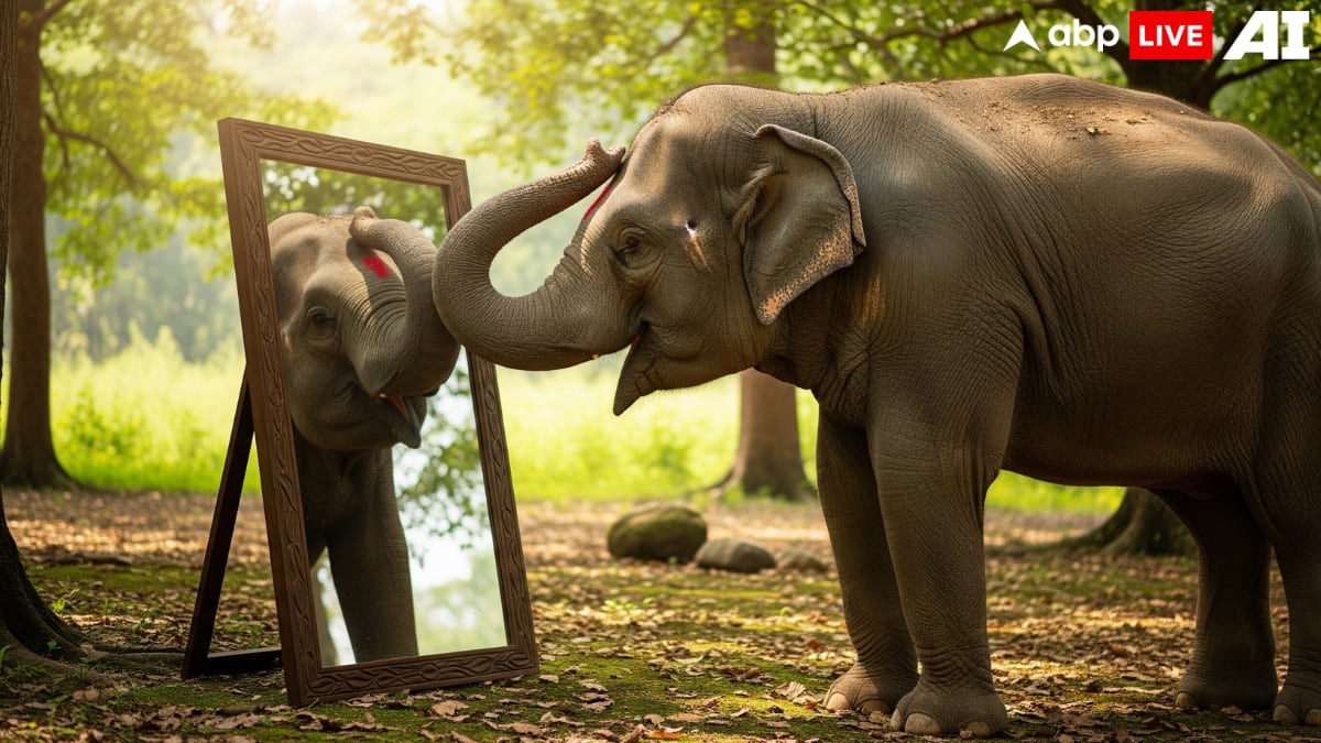 (Image Source: ABPLIVE AI)