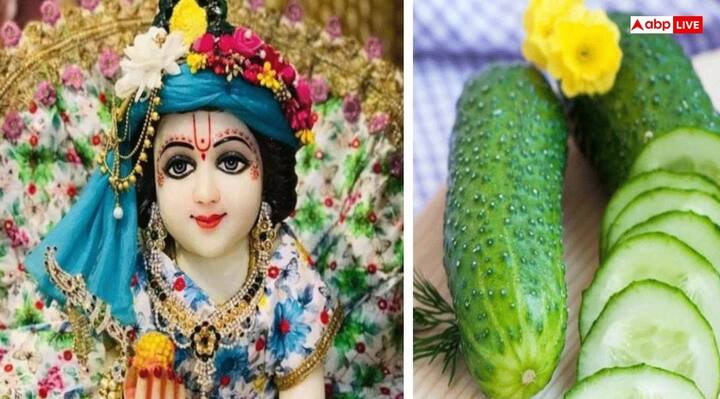 The tradition of cutting the stalking cucumber on Janmashtami as a umbilical cord and taking out the small idol of Krishna is still played as a ritual to separate from Shri Krishna and Mata Devaki. This ritual is also called placenta piercing. It is a symbol of the birth of the baby with motherhood.