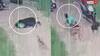 Video: आवारा कुत्ते ने नौंच डाला, घर के बाहर खेल रहा था मासूम, घटना CCTV में कैद