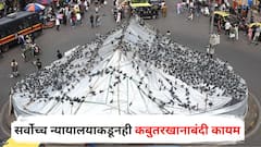 सर्वोच्च न्यायालयाकडूनही कबुतरखानाबंदी कायम, जैन महासंघाची पहिली प्रतिक्रिया, मुनींना शांत बसण्याची सूचना