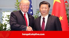 চিনের প্রতি নরম ট্রাম্প? আরও ৯০ দিন ‘শুল্ক-শান্তি’, চিনপিংয়ের সঙ্গে সাক্ষাতেও আগ্রহী