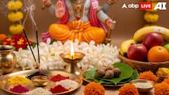 Hal Shashti Vrat 2025 — Know Date, Significance, Puja Vidhi, And More