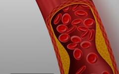 भीगे हुए चने का सेवन करने से होती है ये 6 परेशानियां दूर, आज से ही खाना करें शुरू