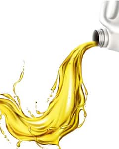 ਇਸ Cooking Oil ਦੀ ਵਰਤੋਂ ਸਮਝੋ ਦੇ ਰਹੇ ਹੋ ਬਿਮਾਰੀਆਂ ਨੂੰ ਸੱਦਾ, ਅੱਜ ਹੀ ਰਸੋਈ ਘਰ ਤੋਂ ਕਰੋ ਬਾਹਰ