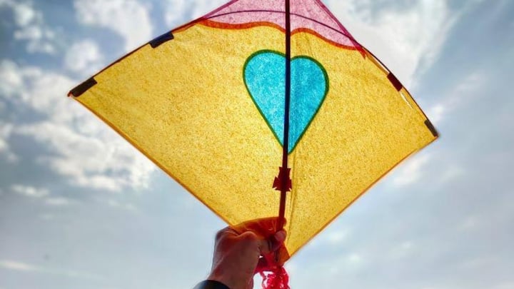 बचपन से लेकर बड़े होने तक पतंग उड़ाना स्वतंत्रता दिवस का एक अहम हिस्सा रहा है. कई लोग तो इस दिन खास पतंग खरीदते हैं और दोस्तों या परिवार जमकर मजा लेते हुए पतंग उड़ाते हैं. लेकिन इस मजे के बीच एक बात अक्सर नज़रअंदाज़ हो जाती है.