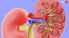 ਕਿਡਨੀ ਫੇਲ੍ਹ ਹੋਣ ਵੱਲ ਇਸ਼ਾਰਾ ਸਕਿਨ 'ਤੇ ਨਜ਼ਰ ਆਉਣ ਵਾਲੇ ਇਹ 6 ਲੱਛਣ, ਜਾਣੋ ਤੁਸੀ ਮੌਤ ਨੂੰ ਕਿਵੇਂ ਦੇ ਰਹੇ ਬੁਲਾਵਾ ?