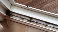 Sliding Window Cleaning; स्लायडिंग खिडक्यांच्या ट्रॅकमधली घाण या सोप्या पद्धतीने काढा!