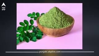 ਸ਼ੂਗਰ ਅਤੇ ਕੋਲੈਸਟਰੋਲ ਰਹੇਗਾ ਕੰਟਰੋਲ, 21 ਦਿਨ ਰੋਜ਼ ਖਾਓ ਮੋਰਿੰਗਾ ਪਾਊਡਰ; ਜਾਣੋ ਖਾਣ ਦਾ ਸਹੀ ਢੰਗ