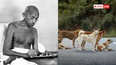 गांधी जी ने क्यों दी थी 40 कुत्तों को मारने पर सहमति? जानें अनकहा किस्सा