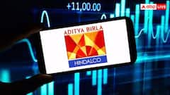 Hindalco Industries Q1 Results: आदित्य बिड़ला ग्रुप की इस कंपनी को जबरदस्त मुनाफा, पहली तिमाही में 4000 करोड़ के पार पहुंचा प्रॉफिट