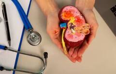 ચહેરા પર આ 6 સંકેત જોવા મળે તો સમજો કિડની થવાની છે ડેમેજ, તાત્કાલિક ભાગો હોસ્પિટલ