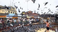 Dadar Kabutar Khana: दादर कबुतरखान्याबाहेर पोलिसांची तगडी फिल्डिंग, मराठी एकीकरण समितीला नोटीसा, आता काय घडणार?