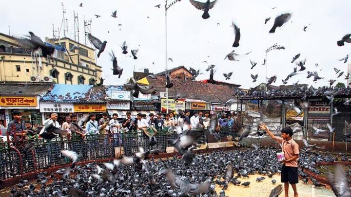 कबुतरखाना बंदीच्या समर्थनार्थ आज (13 ऑगस्ट) मराठी एकीकरण समितीच्यावतीनं आंदोलन करण्यात येणार आहे. जैन मुनींनी दिलेल्या धमकीला मराठी एकीकरण समितीच्यावतीनं उत्तर देण्यात येणार आहे.