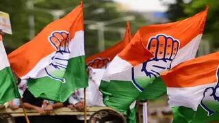 Congress Meetings: बिहार चुनाव को लेकर कांग्रेस की स्क्रीनिंग कमेटी की बैठक  आज, टिकट पर मंथन! | bihar Congress Screening Committee meetings on 13 and  14 August in patna for bihar elections ann