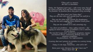 कुत्तों को लेकर सुप्रीम कोर्ट के आदेश पर आया रोहित शर्मा की वाइफ रितिका सजदेह का रिएक्शन, जानें क्या कहा