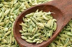 ખાલી પેટે વરિયાળીનું પાણી પીવાથી આ છ બીમારીઓમાંથી મળશે છૂટકારો