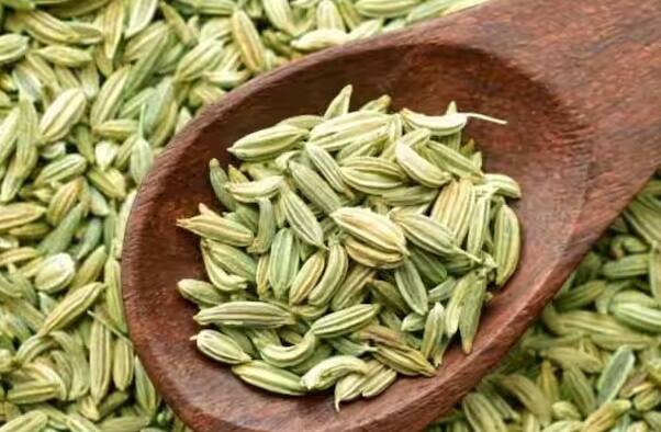 વહેલી સવારે જ્યારે શરીર ડિટોક્સ અને તાજગી ઇચ્છે છે ત્યારે એક ગ્લાસ વરિયાળીનું હૂંફાળું પાણી જાદુ જેવું કામ કરે છે. રસોડામાં સરળતાથી મળી રહેતી વરિયાળી માત્ર ખોરાકનો સ્વાદ જ નહીં, પણ તમારા શરીરના ઘણા મોટા રોગોને જડમૂળથી દૂર કરવાની ક્ષમતા પણ ધરાવે છે.