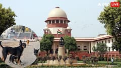 सुप्रीम कोर्ट ने आवारा कुत्तों से जुड़ा मामला तीन जजों की बेंच को सौंपा, कल होगी सुनवाई