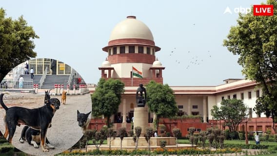 Will Delhi-NCR See Stray Dogs Relocated? Supreme Court To Deliver Interim Order Tomorrow