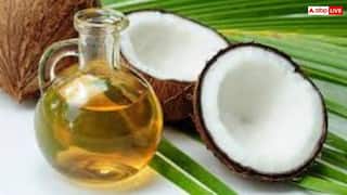क्या मानसून में नारियल तेल स्किन के लिए है सही? जानिए क्या कहते हैं एक्सपर्ट