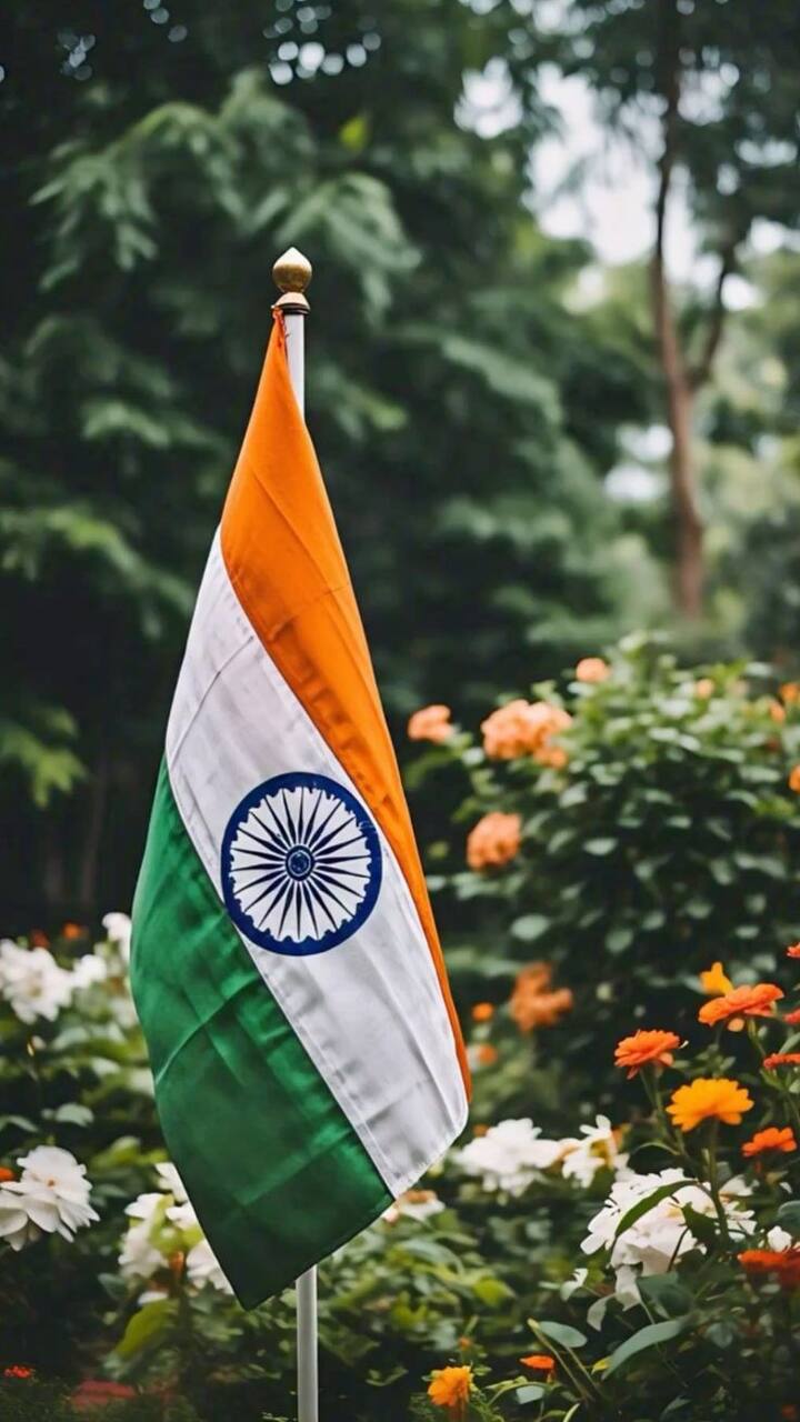 ध्वज सूर्योदयापासून सूर्यास्तापर्यंतच फडकवावा.ध्वज जमिनीला किंवा पाण्याला लागू नये.