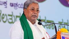 'Treating Stray Dogs As Nuisance Is Cruelty': Karnataka CM Siddaramaiah Calls For Humane Solutions