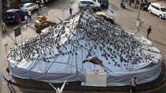 Dadar Kabutar Khana: दादर कबुतरखान्याबाहेर पोलिसांची तगडी फिल्डिंग, मराठी एकीकरण समितीला नोटीसा, आता काय घडणार?