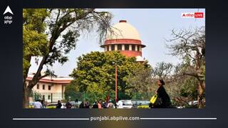 Sacrilege Case: ਬੇਅਦਬੀ ਕੇਸਾਂ 'ਤੇ ਸੁਪਰੀਮ ਕੋਰਟ ਦਾ ਵੱਡਾ ਫੈਸਲਾ, ਹਾਈਕੋਰਟ ਦੇ ਫੈਸਲੇ 'ਤੇ ਰੋਕ