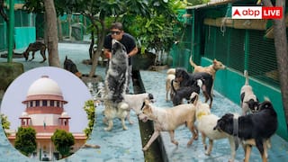 रेबीज के मरीज को क्यों लगने लगता है पानी से डर, क्या है इसका कारण?