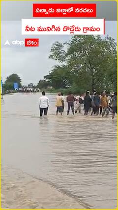 పల్నాడు జిల్లాలో వరదలు..నీట మునిగిన దొడ్లేరు గ్రామం