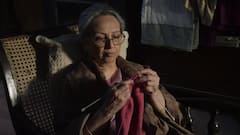 Sharmila Tagore Speaks Out On Supreme Court’s Stray Dog Order: ‘Defenceless Of Our Society’