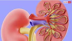 ਜੇ ਚਿਹਰੇ 'ਤੇ ਦਿਸਣ ਇਹ 6 ਨਿਸ਼ਾਨ ਤਾਂ ਸਮਝ ਜਾਓ ਤੁਹਾਡੀ ਕਿਡਨੀ ਹੋਣ ਵਾਲੀ ਹੈ ਫੇਲ੍ਹ, ਛੇਤੀ ਪਹੁੰਚੋ ਹਸਪਤਾਲ