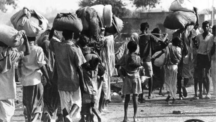 दोनों तरफ खून-खराबा हुआ, लेकिन पंजाब में सिख समुदाय पर इसका बहुत गहरा असर हुआ है. यह कत्लेआम बंटवारे की राजनीति, धार्मिक नफरत और बदले की भावना का नतीजा था.