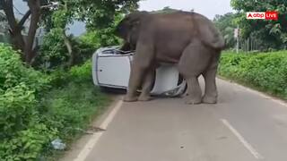 Video: हाथी राजा का ऐसा गुस्सा नहीं देखा! पलट दी कार, खूब मचाया उत्पात, वीडियो वायरल