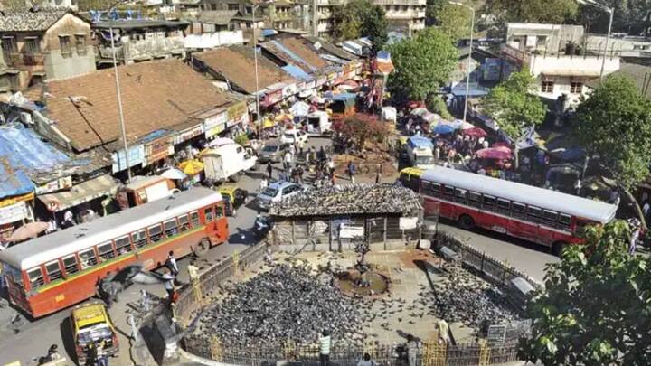 कबूतरखाना येथे मराठी एकीकरण समितीच्या आंदोलनाच्या पार्श्वभूमीवर 150 मुंबई पोलिसांचा बंदोबस्त ठेवण्यात आला आहे. शिवाजी पार्क, दादर, शाहू नगर, धारावी, व्हि बी नगर, माहिम, कुर्ला पोलिस ठाण्यातील पोलीस बंदोबस्ताला आहेत. याशिवाय राज्य राखीव दलाच्या पोलिसाचीही वाढीव कुमक या ठिकाणी बोलवण्यात आली आहे. कबूतरखाना परिसराला आंदोलनाच्या पार्श्वभूमिवर छावणीचे स्वरुप पाहायला मिळत आहे.