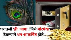 श्रीमंत लोकांच्या घरातली 'ही' जागा, जिथे मोरपंख ठेवले जातात, चुंबकासारखा खेचतो पैसा, वास्तुशास्त्रात म्हटलंय..