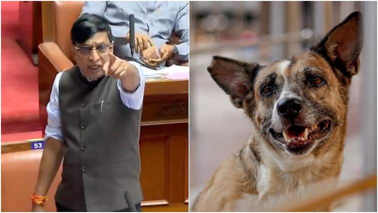 Poisoned 2,800 Dogs For ‘Children’s Safety’, Buried Them In Estates: Karnataka MLC’s Shocking C