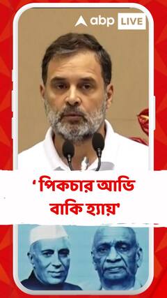'আমরা থামব না, পিকচার আভি বাকি হ্যায়', হুঙ্কার কংগ্রেস সাংসদ রাহুল গাঁধীর