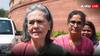 'भारतीय नागरिक बनने से पहले वोटर लिस्ट में जोड़ा गया सोनिया गांधी का नाम', BJP ने आरोप लगाकर मचा दिया बवाल