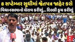 Amit Chavda : 8 સપ્ટેમ્બર સુધીમાં શ્વેતપત્ર જાહેર કરો, વિધાનસભાનો ઘેરાવ કરીશું... દિલ્લી કૂચ કરીશું