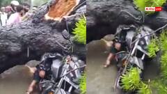 Video: दिल्ली में पेड़ के नीचे दब गया बाइक सवार, मौके पर मौत, सामने आया दिल दहला देने वाला वीडियो