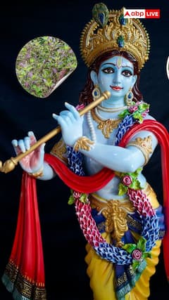 श्रीकृष्ण को तुलसी क्यों चढ़ाते हैं?