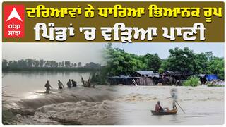 ਦਰਿਆਵਾਂ ਨੇ ਧਾਰਿਆ ਭਿਆਨਕ ਰੂਪਪਿੰਡਾਂ 'ਚ ਵੜਿਆ ਪਾਣੀ
