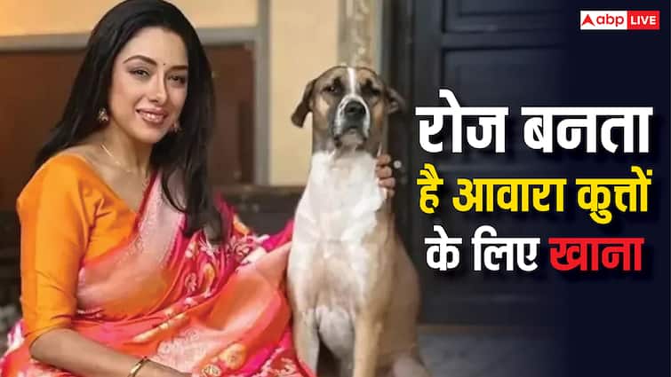 'अनुपमा' के किचन में रोज आवारा कुत्तों के लिए बनता है एक्स्ट्रा खाना, बोलीं- ये उनका घर है